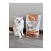 Kito 3 pieces 2 kg adult cat food - Buy Online on GoSupps.com