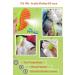 Pets Fav Steam Cat and Dog Cleaning Wash Massage Comb Brush and Deep Cleansing Cat Shampoo - Buy Online on GoSupps.com