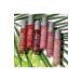 the balm Meet Matt (e) Hughes Miami Collection 6 colors Travel Size Liquid Lipstick - Buy Online on GoSupps.com