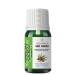 YOUNG SOULS Aromatherapy Udi Hindi Carrier Oil (Maceration) 10 ml - Buy Online on GoSupps.com