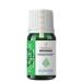 YOUNG SOULS Aromatherapy Moringa Carrier Oil ( Cold Pressed ) Carrier Oil ( Cold Pressed ) 10 ml - Buy Online on GoSupps.com