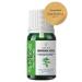 YOUNG SOULS Nettle Carrier Oil ( Cold Pressed ) 10 ml - Buy Online on GoSupps.com