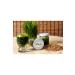 Peti im Wheatgrass Juice 10 Day Package - Buy Online on GoSupps.com