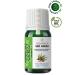 YOUNG SOULS Aromatherapy Udi Hindi Carrier Oil (Maceration) 10 ml - Buy Online on GoSupps.com