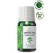 YOUNG SOULS Nettle Carrier Oil ( Cold Pressed ) 10 ml - Buy Online on GoSupps.com