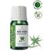 YOUNG SOULS Aloe Vera Carrier Oil (Cold Press) Yellow Patience Herbal Carrier Oil (Cold Press) 10 ml