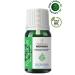 YOUNG SOULS Aromatherapy Moringa Carrier Oil ( Cold Pressed ) Carrier Oil ( Cold Pressed ) 10 ml - Buy Online on GoSupps.com