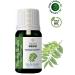 YOUNG SOULS Aromatherapy Neem Carrier Oil (Cold Pressed) Herbal Carrier Oil (Cold Pressed) 10 ml