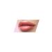 Golden Rose Plumped Lips Lip Plumping Gloss No: 203 - Plumping Lip Gloss - 8691190528492 - Buy Online on GoSupps.com