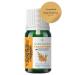 YOUNG SOULS Aromatherapy Sea Buckthorn Carrier Oil Wild Buckthorn Carrier Oil 10 ml - Buy Online on GoSupps.com
