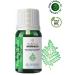 YOUNG SOULS Aromatherapy Moringa Carrier Oil ( Cold Pressed ) Carrier Oil ( Cold Pressed ) 10 ml