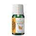 YOUNG SOULS Aromatherapy Sea Buckthorn Carrier Oil Wild Buckthorn Carrier Oil 10 ml - Buy Online on GoSupps.com