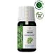 YOUNG SOULS Aromatherapy Neem Carrier Oil (Cold Pressed) Herbal Carrier Oil (Cold Pressed) 10 ml - Buy Online on GoSupps.com