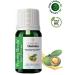 YOUNG SOULS Aromatherapy Tamanu Carrier Oil (Cold Pressed) Herbal Carrier Oil (Cold Pressed) 10 ml