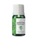 YOUNG SOULS Nettle Carrier Oil ( Cold Pressed ) 10 ml - Buy Online on GoSupps.com