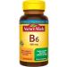 Nature Made Vitamin B6 100 mg 100 Tablets