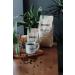 Perro Coffee Premium Bean Coffee 1 Kg (GROUND ESPRESSO AND FILTER COFFEE OPTIONS) - Buy Online on GoSupps.com