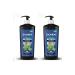 Biomen Professional Menthol & Zinc Anti-Dandruff Refreshing Shampoo 1000 ml X 2 PCS