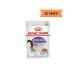 Royal Canin Roya Sterilized Neutered Cat Wet Food 12 Pieces X 85 gr Jelly Pouch Gel - Buy Online on GoSupps.com