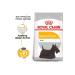 Royal Canin Mini Dermacomfort 3kg - Buy Online on GoSupps.com