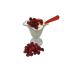 Gargili Raspberry Freeze Dried Raspberry 3 Piece Healthy Food Manufacturer Company (Fruit Chips) - Buy Online on GoSupps.com
