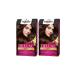 Palette Deluxe 3-65 Chocolate Brown X 2 Hair Dye