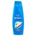 Blendax Cleansing Jasmine Essence Shampoo 500 ml X 3 Pieces - Buy Online on GoSupps.com