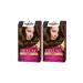 Palette Deluxe 4-65 Fascinating Brown X 2 Hair Dye