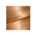 Garnier Color Naturals 7/3 - Hazelnut Shell Hair Dye - Buy Online on GoSupps.com