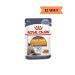 Royal Canin Hair & Skin Care Adult Cat Wet Food 85 gr *12