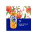  aykur Didi Hepsibir Package Bergamot + Lemon + Peach Iced Tea 330 Ml X 18 Pieces - Buy Online on GoSupps.com