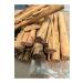forevers 1st Quality Ceylon Cinnamon 185 Grams - Buy Online on GoSupps.com