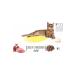 Natura Low Grain Chicken and Pomegranate Adult Cat Dry Food 2.25 Kg - Buy Online on GoSupps.com
