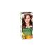 Garnier Provocative Brown Color Naturals Hair Dye - Buy Online on GoSupps.com
