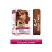 L'Oreal Paris Excellence Creme Hair Dye 6.41 Hazelnut Brown