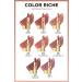 L'Oreal Paris Color Riche Satin Finish Lipstick - 601 Worth It - Buy Online on GoSupps.com