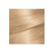 Garnier Color Naturals 110 Extra Light Natural Blonde - Buy Online on GoSupps.com