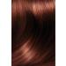 L'Oreal Paris Excellence Intense Hair Dye 5.52 Warm Chestnut - Buy Online on GoSupps.com