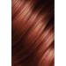 L'Oreal Paris L'or al Paris Excellence Intense Hair Dye 5.45 Copper Brown - Buy Online on GoSupps.com