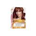 L'Oreal Paris L'or al Paris Excellence Intense Hair Dye 5.45 Copper Brown - Buy Online on GoSupps.com