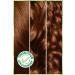 Garnier Nutrisse Intense Nourishing Permanent Cream Hair Dye 6.41 Copper Blonde - Buy Online on GoSupps.com
