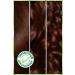 Garnier Nutrisse Intense Nourishing Permanent Cream Hair Dye 5.35 Chocolate Brown - Buy Online on GoSupps.com