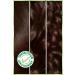 Garnier Nutrisse Intense Nourishing Permanent Cream Hair Dye 4 1:2 Luminous Brown - Buy Online on GoSupps.com