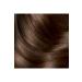 Garnier Hair Dye - Striking Colors 5.0 Bright Light Brown 3600541136977 - Buy Online on GoSupps.com