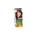 Garnier Color Naturals Chestnut Red (4.6) Hair Dye - Buy Online on GoSupps.com