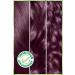Garnier Nutrisse Intense Nourishing Permanent Cream Hair Dye 4.26 Aubergine Purple - Buy Online on GoSupps.com