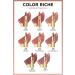 L'Oreal Paris Color Riche Satin Finish Lipstick - 570 Worth It (Intense) - Buy Online on GoSupps.com