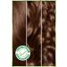 Garnier Nutrisse Intense Nourishing Permanent Cream Hair Dye 6.3 Golden Blonde - Buy Online on GoSupps.com