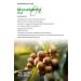 Oleora Macadamia Nut Oil Pure Fixed Oil (MACADAM A NUT O L) carrier Oil Pure 100 ml - Buy Online on GoSupps.com