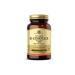 Solgar Vitamin B Complex 100 Capsules - Buy Online on GoSupps.com